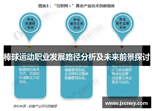 棒球运动职业发展路径分析及未来前景探讨