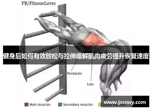 健身后如何有效放松与拉伸缓解肌肉疲劳提升恢复速度