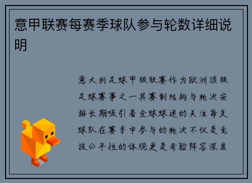 意甲联赛每赛季球队参与轮数详细说明